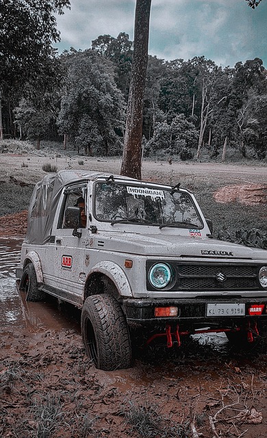 尔特人的对 尔特人的对