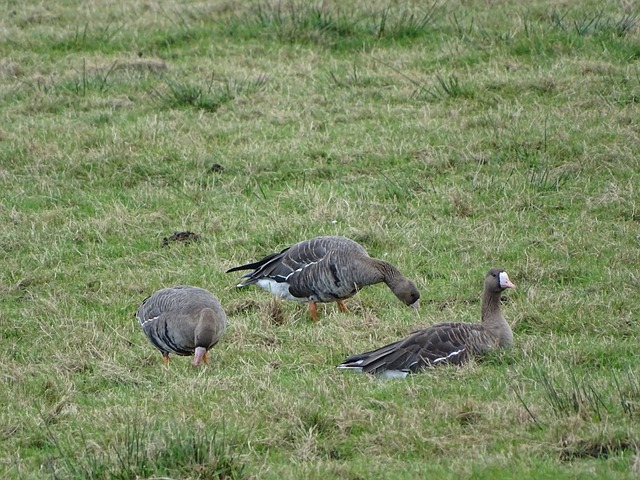 不久的将来 不久的将来