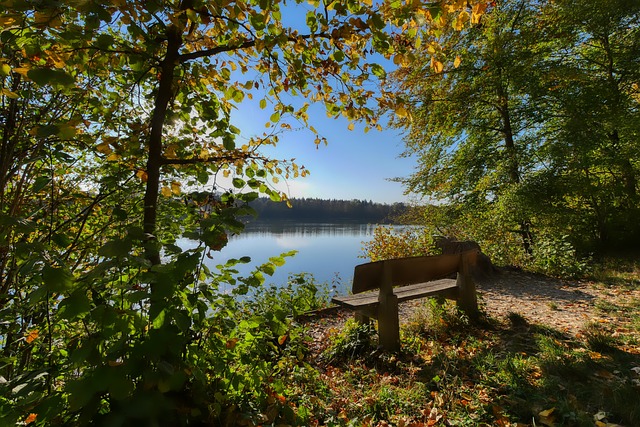 淋漓尽致 淋漓尽致